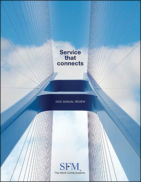 2025 SFM annual review