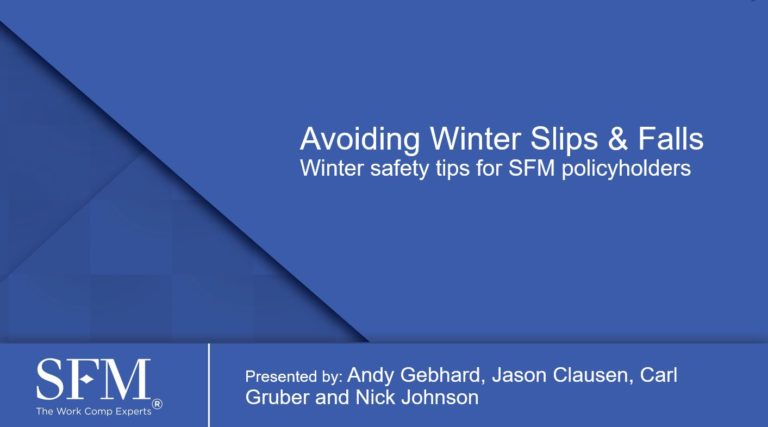 Avoiding winter slips and falls webinar