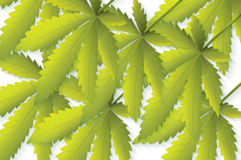 What employers should know about marijuana safety and impairment policies