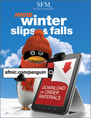 Avoid winter slips and falls packet