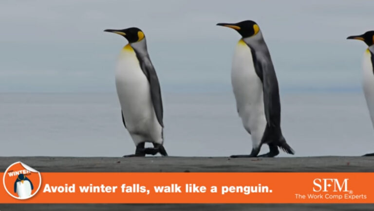 Avoid winter falls, walk like a penguin (English)