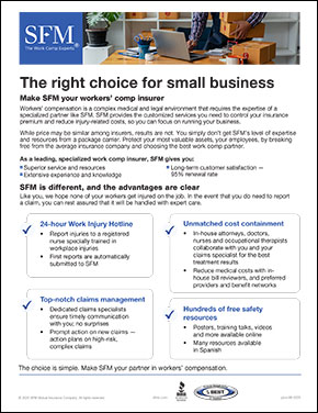 Make SFM your choice for small business agent handout