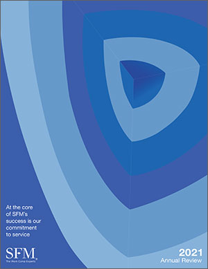2020 SFM Annual Review