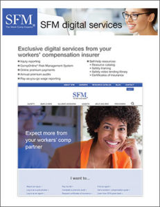 SFM digital services booklet