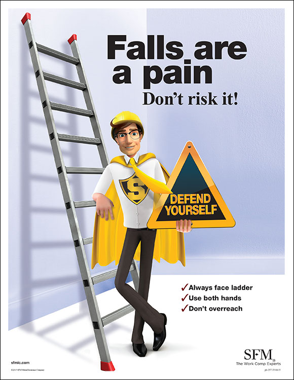 Slips, trips and falls ladder poster